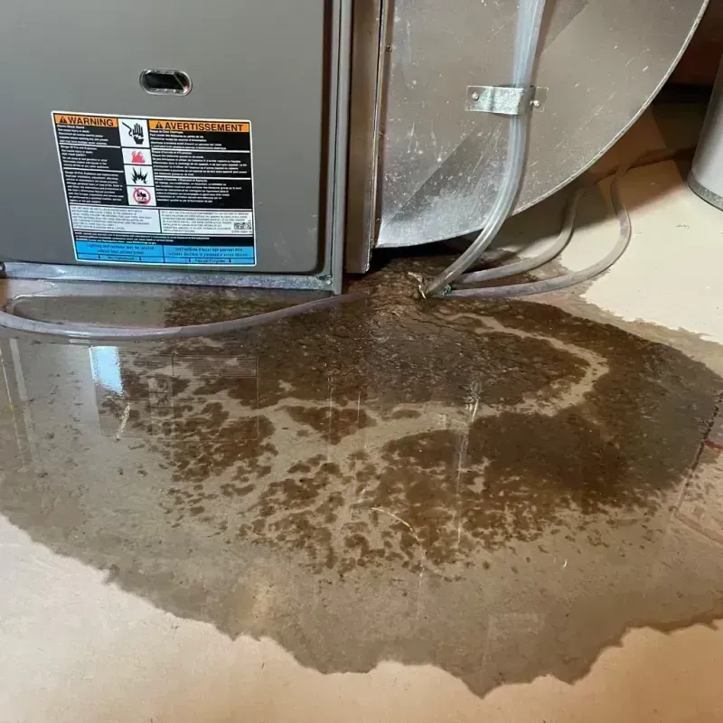 Appliance Leak Cleanup in Paducah, KY